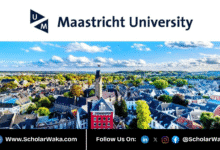 2026–2027 UM Global Studies Scholarship in Netherland | Fully Funded - ScholarWaka
