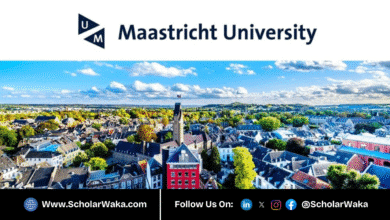 2026–2027 UM Global Studies Scholarship in Netherland | Fully Funded - ScholarWaka
