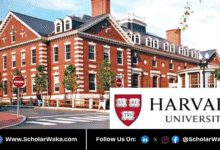Harvard LEAD Fellowship Program 2026/27 in USA | Fully Funded - ScholarWaka