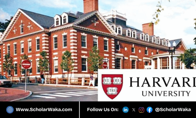 Harvard LEAD Fellowship Program 2026/27 in USA | Fully Funded - ScholarWaka