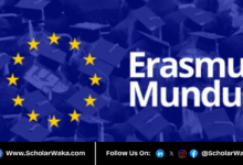 Erasmus Mundus Masters Impact Entreprenurship (EMMIE) Scholarship 2026 in Europe | Fully Funded - ScholarWaka