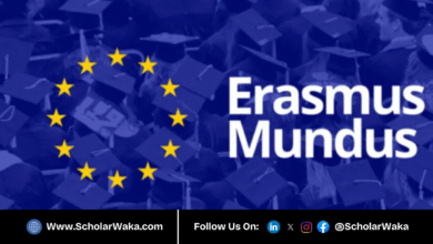 Erasmus Mundus Masters Impact Entreprenurship (EMMIE) Scholarship 2026 in Europe | Fully Funded - ScholarWaka
