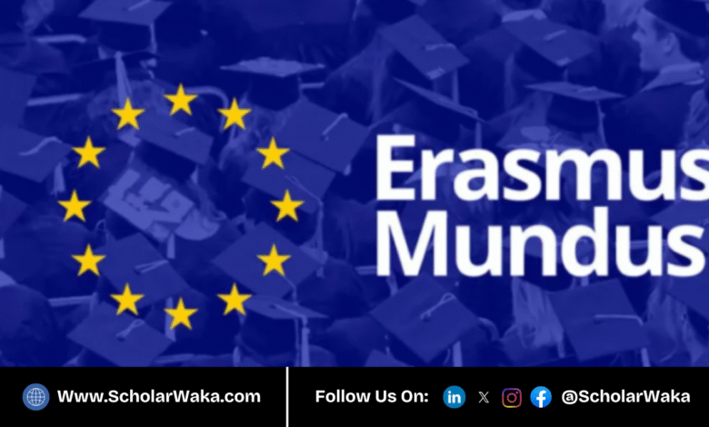 Erasmus Mundus Masters Impact Entreprenurship (EMMIE) Scholarship 2026 in Europe | Fully Funded - ScholarWaka