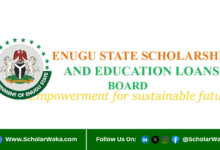 Enugu State Scholarship 2025 For Undergraduates and Graduates | Fully Funded - ScholarWaka