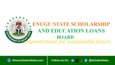 Enugu State Scholarship 2025 For Undergraduates and Graduates | Fully Funded - ScholarWaka