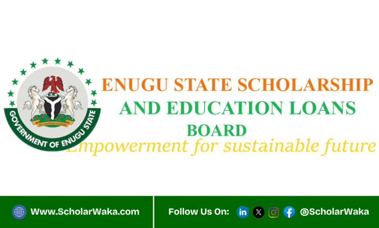 Enugu State Scholarship 2025 For Undergraduates and Graduates | Fully Funded - ScholarWaka