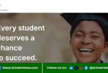 Bode Amao Foundation (BAF) Scholarship For Nigerians | How to Apply - ScholarWaka