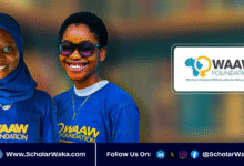 WAAW Foundation Scholarship for African Undergraduates in STEM 2025 | How to Apply - ScholarWaka