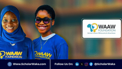 WAAW Foundation Scholarship for African Undergraduates in STEM 2025 | How to Apply - ScholarWaka