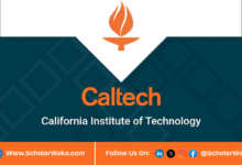 CALTECH Summer Undergraduate Research Fellowship (SURF) Program 2026 in USA - ScholarWaka