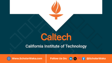 CALTECH Summer Undergraduate Research Fellowship (SURF) Program 2026 in USA - ScholarWaka