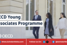 OECD Young Associate Programme 2026 | How To Apply - ScholarWaka