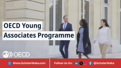 OECD Young Associate Programme 2026 | How To Apply - ScholarWaka
