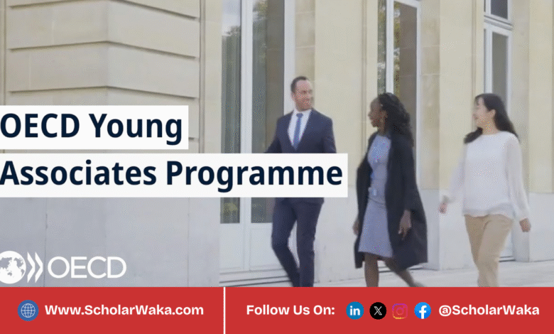 OECD Young Associate Programme 2026 | How To Apply - ScholarWaka