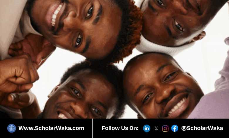 National Health Fellows Programme 2025 for young emerging Nigerians | How to Apply - ScholarWaka
