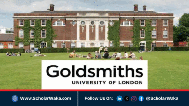 Palestinian Scholarship 2026 at Goldsmiths University of London | Fully Funded - ScholarWaka