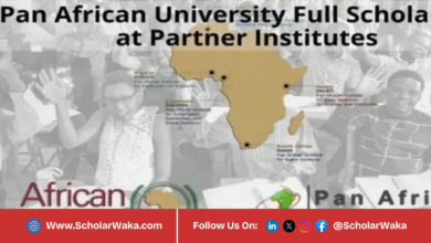 Pan African University Scholarship 2026/2027 | Fully Funded - ScholarWaka