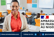France Éducation International Language Assistant Program 2026/2027 | How to Apply - ScholarWaka