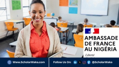 France Éducation International Language Assistant Program 2026/2027 | How to Apply - ScholarWaka