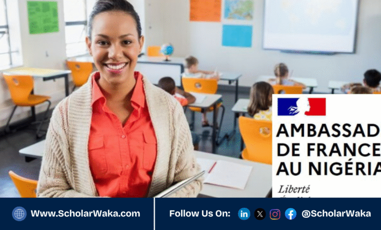 France Éducation International Language Assistant Program 2026/2027 | How to Apply - ScholarWaka