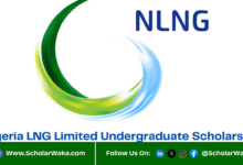 2026 NLNG Undergraduate Scholarship Scheme (UGSS) For Nigerians | How To Apply - ScholarWaka
