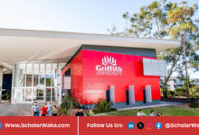 2026 Vice Chancellor's International Scholarship at Griffith University in Australia | How to Apply - ScholarWaka