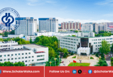 Chinese Government Scholarship at China University of Petroleum 2026 | Fully Funded - ScholarWaka