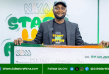 Federal Government NiYA Startup Pitch 2025 for Nigerian Youths | How to Apply - ScholarWaka
