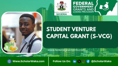 Federal Government Student Venture Capital Grant (S-VCG) 2025 | How To Apply - ScholarWaka