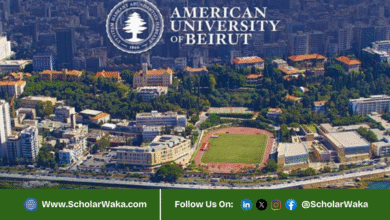 ACTS Scholarship at American University of Beirut 2026–2027 | Fully Funded - ScholarWaka