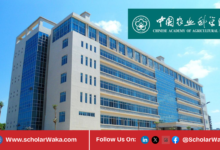 Chinese Academy of Agricultural Sciences (CAAS) Scholarship 2026 in China | Fully Funded - ScholarWaka