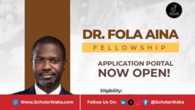 Dr Fola Aina Fellowship 2026 | How to Apply - ScholarWaka