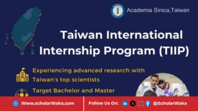 Taiwan International Internship Program 2026 | Fully Funded - ScholarWaka