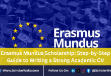 Erasmus Mundus Scholarship: Step-by-Step Guide to Writing a Strong Academic CV - ScholarWaka