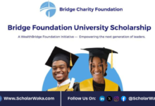 Bridge Foundation Universities Scholarship Programme 2026 Nigeria | How to Apply - ScholarWaka