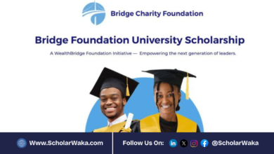 Bridge Foundation Universities Scholarship Programme 2026 Nigeria | How to Apply - ScholarWaka