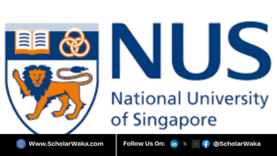 NUS International Undergraduate Scholarship 2026 in Singapore | Fully Funded - ScholarWaka