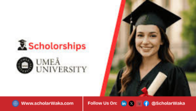 Umeå University Scholarship for International Students 2026 | How to Apply - ScholarWaka