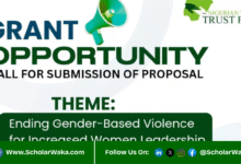 Nigerian Women Trust Fund (NWTF) 2026 Grant | How to Apply - ScholarWaka