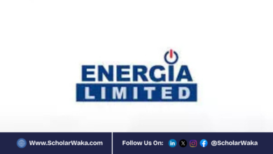 2025 Energia Graduate Trainee Programme for Nigerians | How to Apply - ScholarWaka