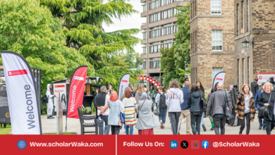 University of Leicester Undergraduate Scholarship 2026 in UK | Fully Funded - ScholarWaka
