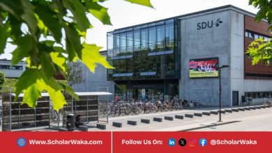 Danish Government Scholarship 2026 | How to Apply - ScholarWaka