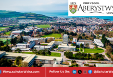 Aberystwyth University Adult Nursing Scholarship 2026 For International Students | Fully Funded - ScholarWaka