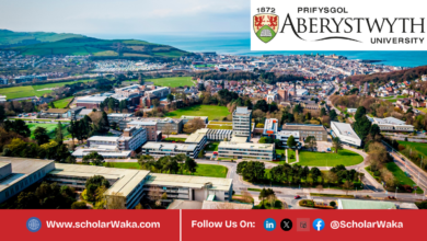 Aberystwyth University Adult Nursing Scholarship 2026 For International Students | Fully Funded - ScholarWaka