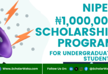 NIPES Engineering and Science Scholarship 2026 | How to Apply - ScholarWaka