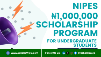 NIPES Engineering and Science Scholarship 2026 | How to Apply - ScholarWaka