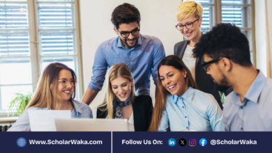 USTB International Student Dingxin Scholarship 2026 | Fully Funded - ScholarWaka