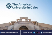 2026 African Graduate Fellowships at the American University in Cairo (AUC) | Fully Funded - ScholarWaka