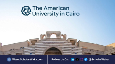 2026 African Graduate Fellowships at the American University in Cairo (AUC) | Fully Funded - ScholarWaka