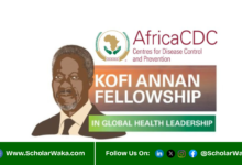 Kofi Annan Fellowship in Global Health Leadership 2026 | Fully Funded - ScholarWaka